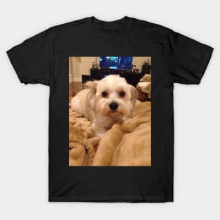 Classic Dog T-Shirt